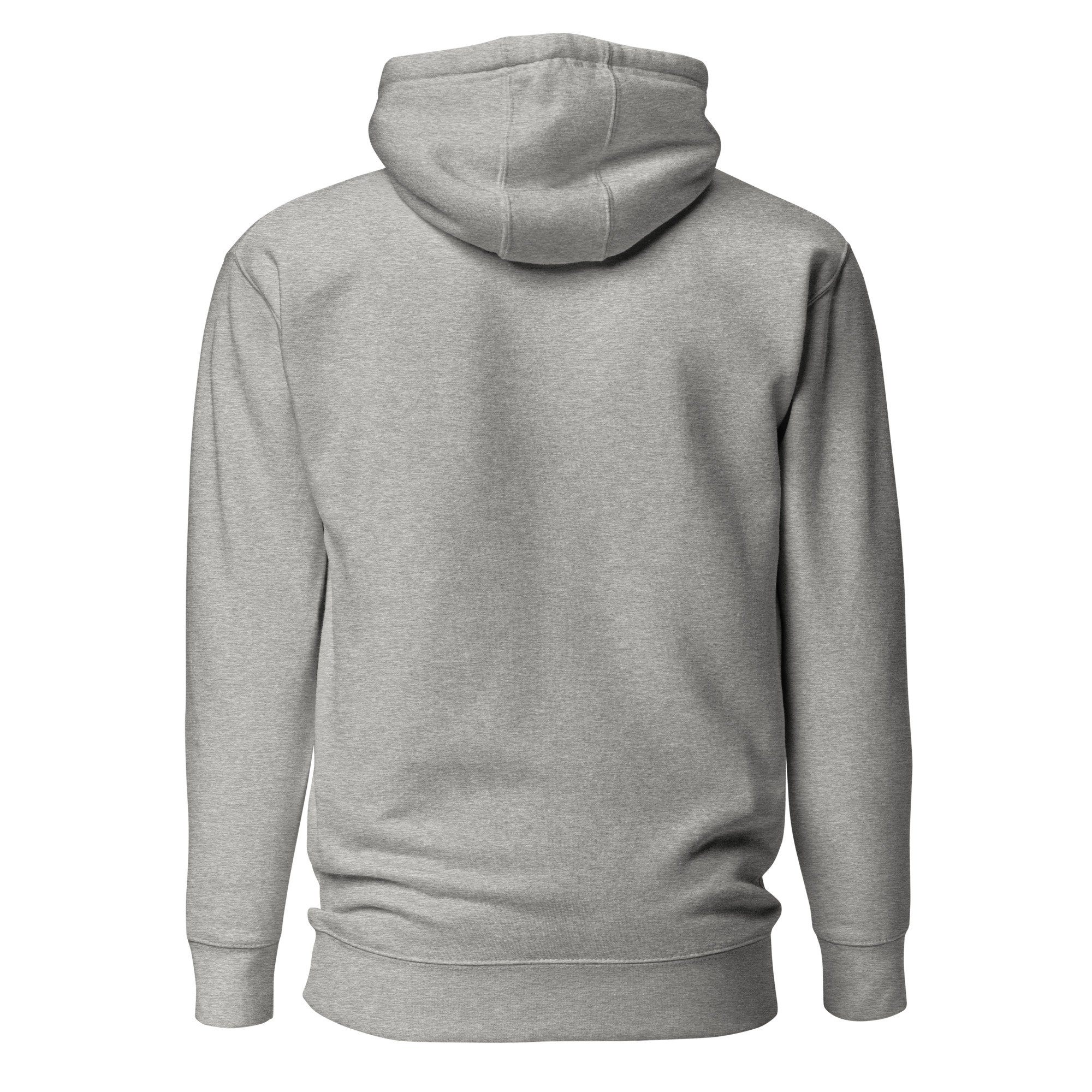 unisex-premium-hoodie-carbon-grey-back-6634e7d64b1c1.jpg